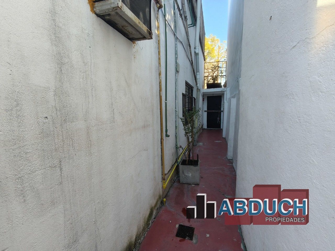 Imagen 20