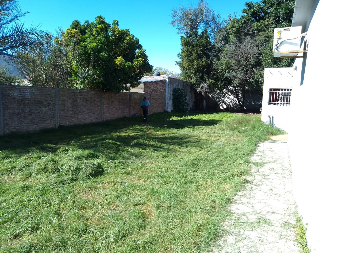 Imagen 4