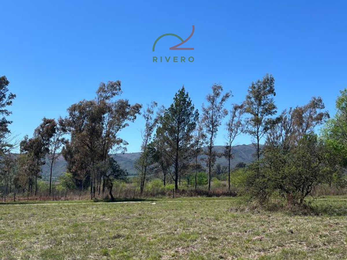 Lote EN VENTA