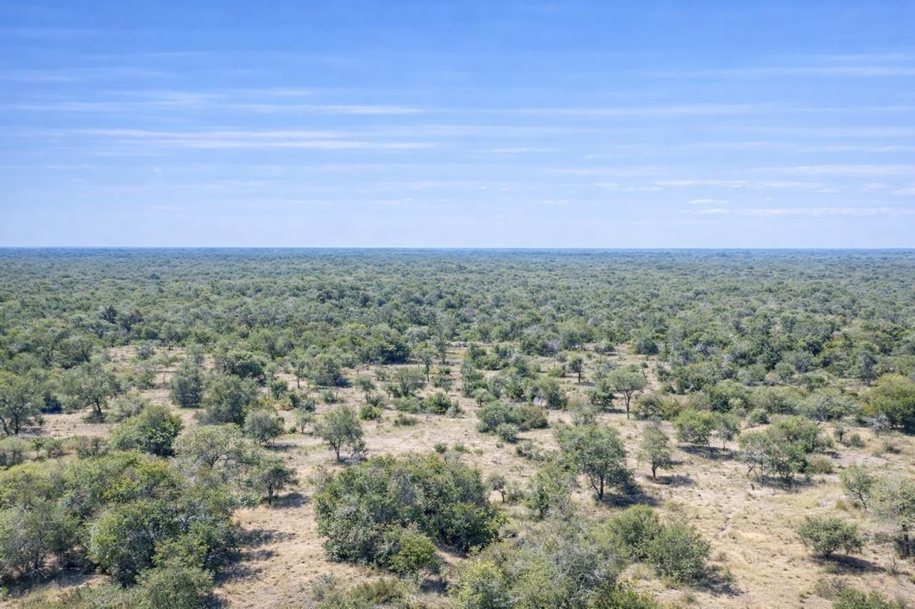 Campo EN VENTA