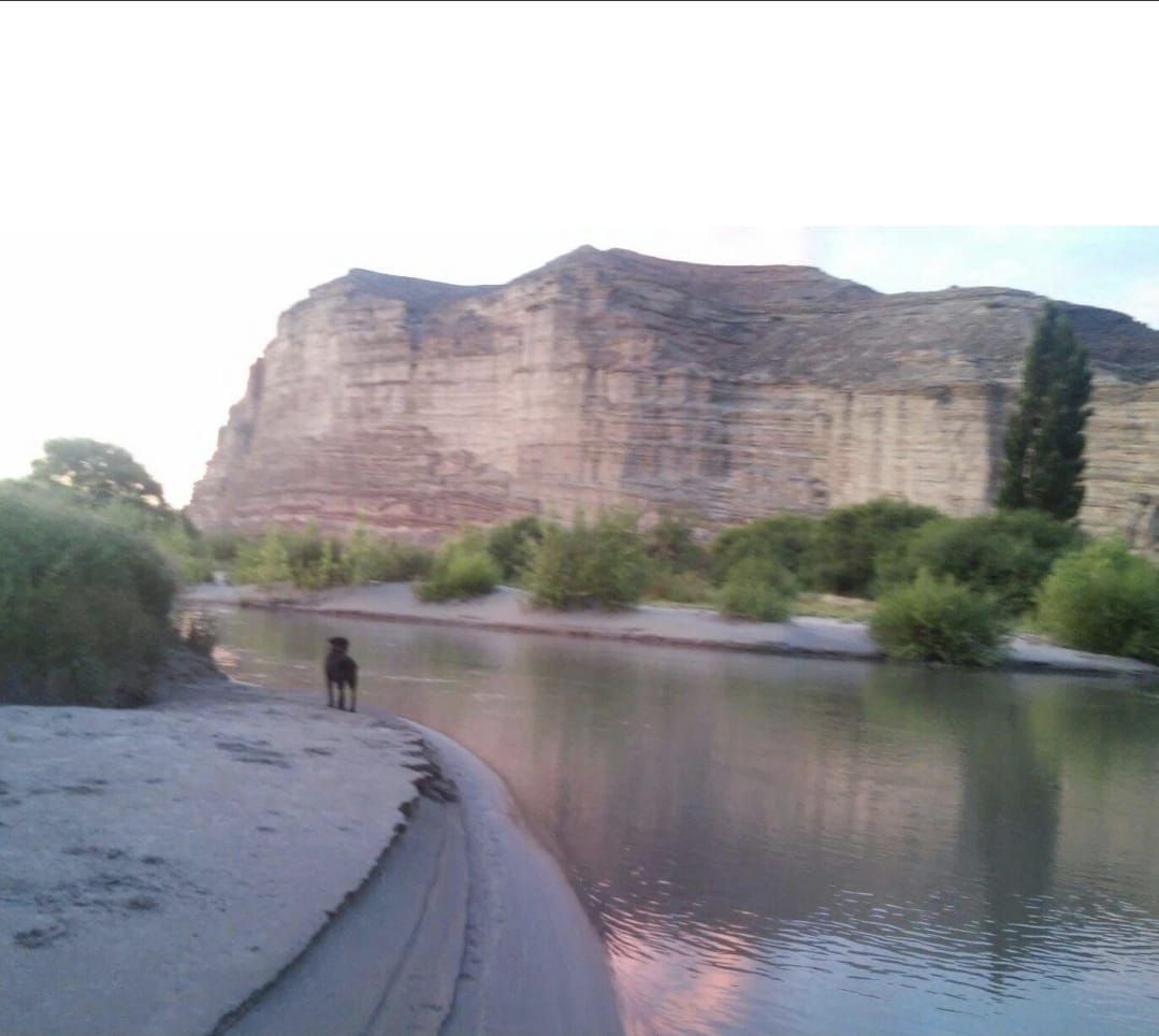 Campo EN VENTA