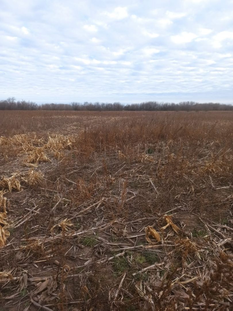 Campo EN VENTA