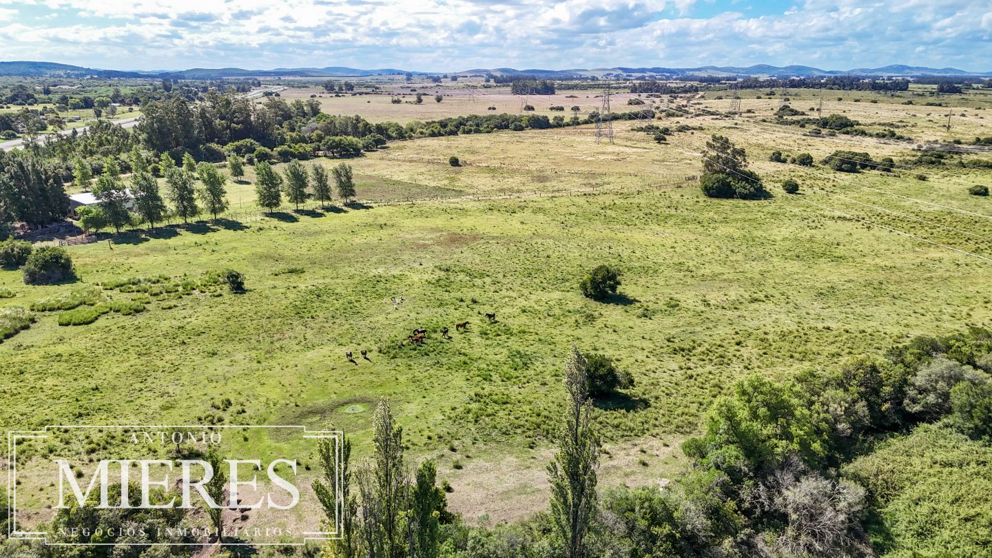 Quinta EN VENTA