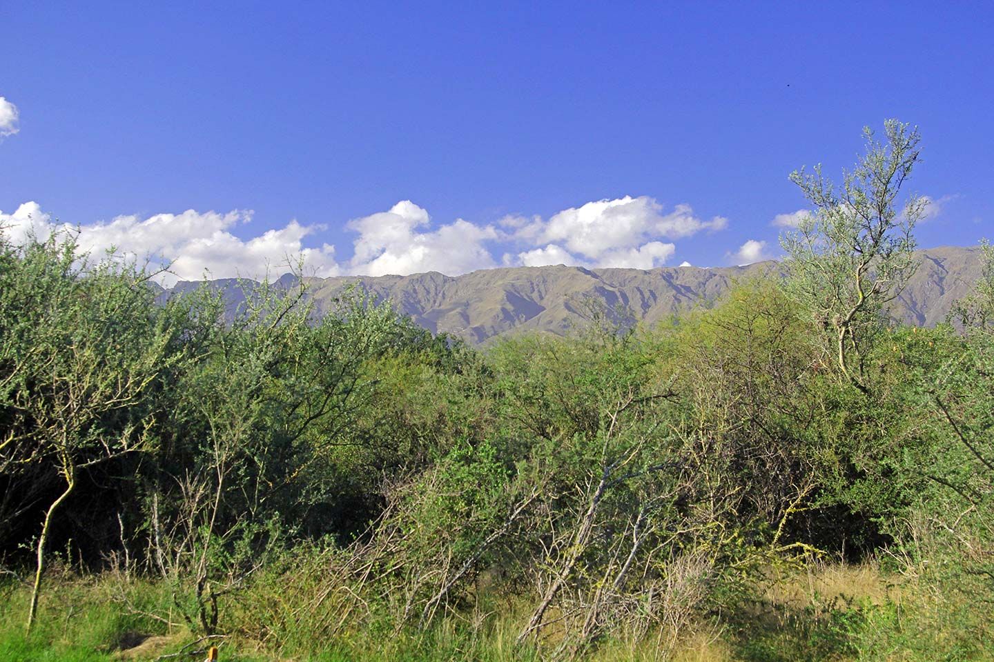 Lote EN VENTA