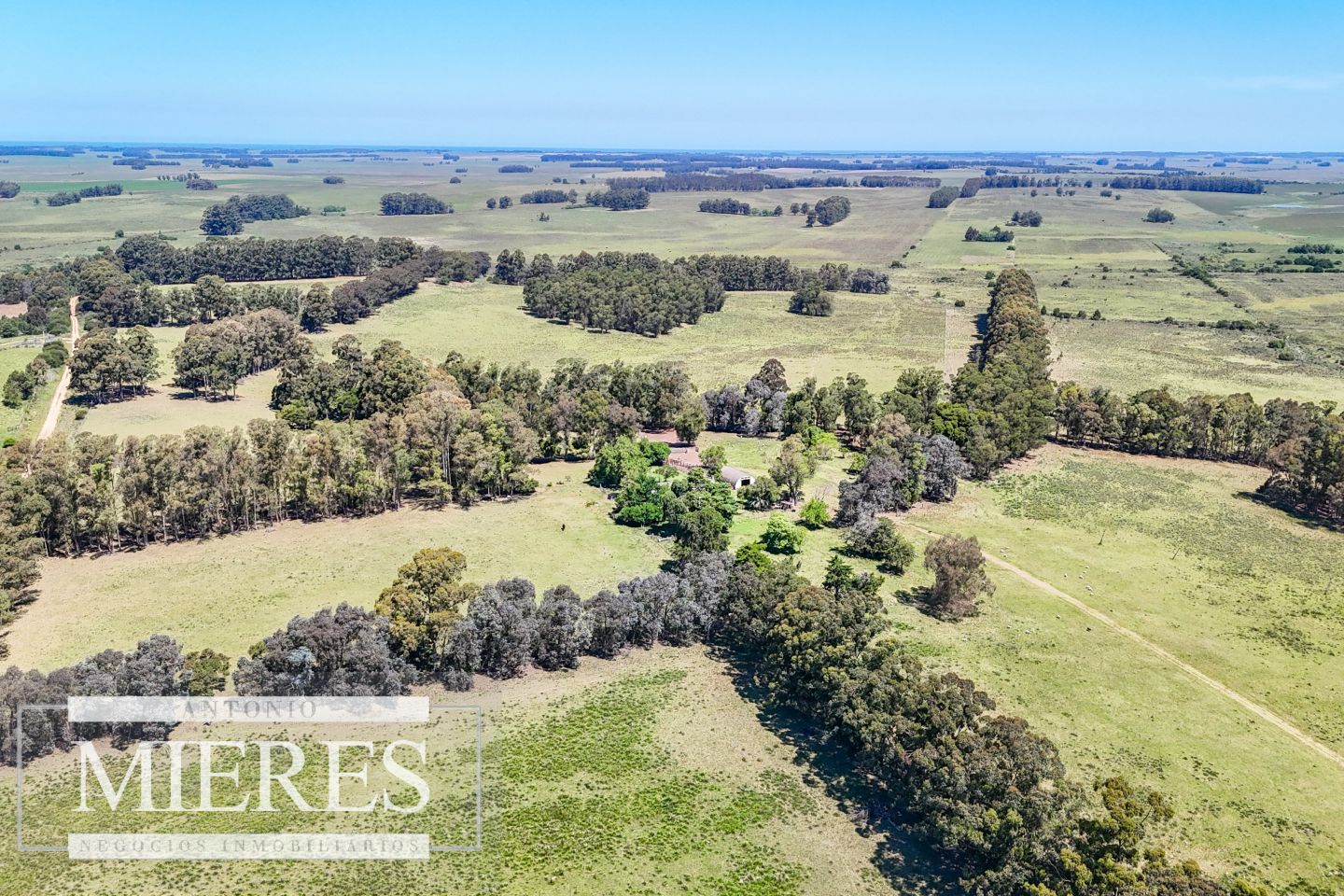 Campo EN VENTA