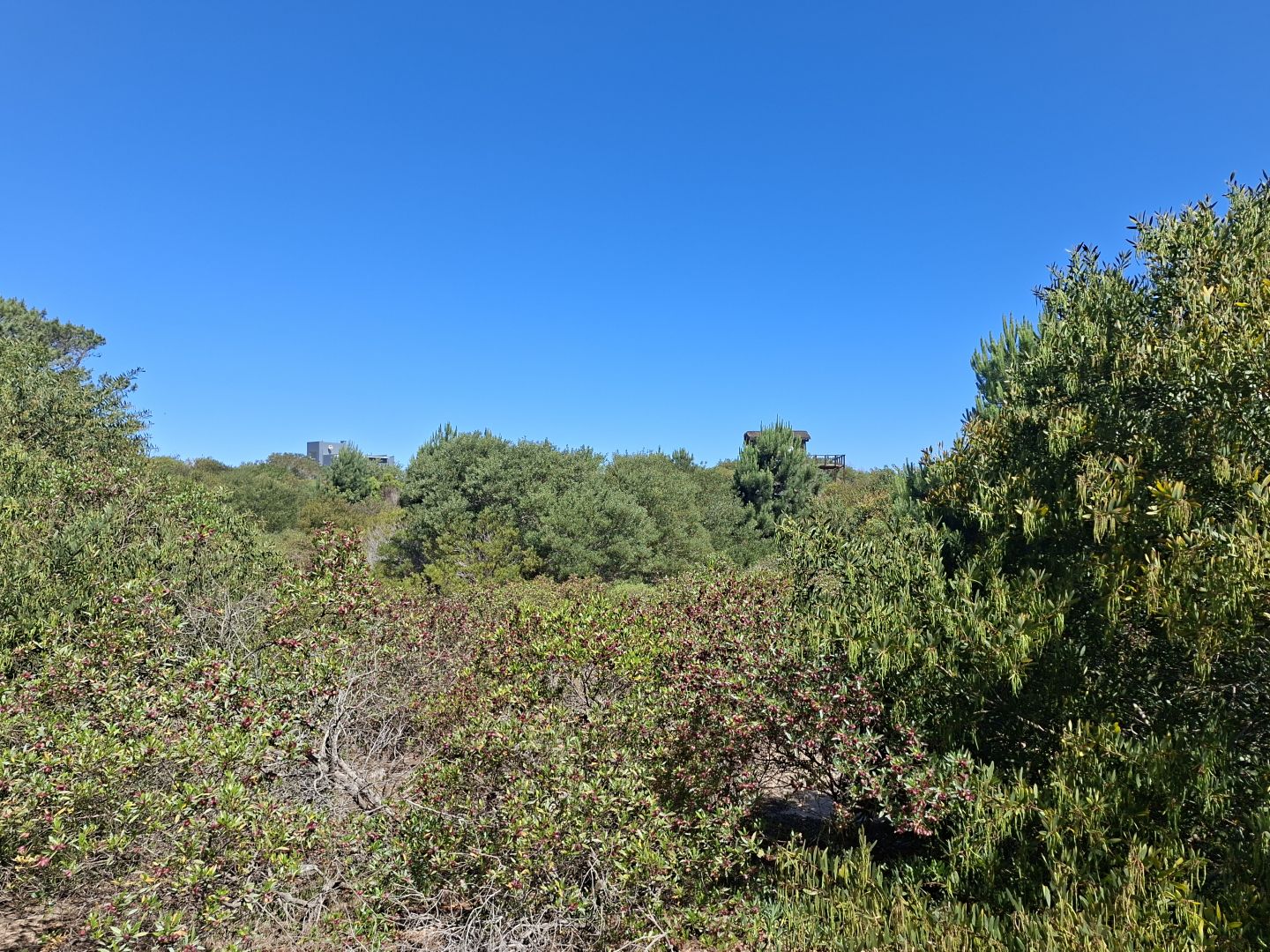 Lote EN VENTA