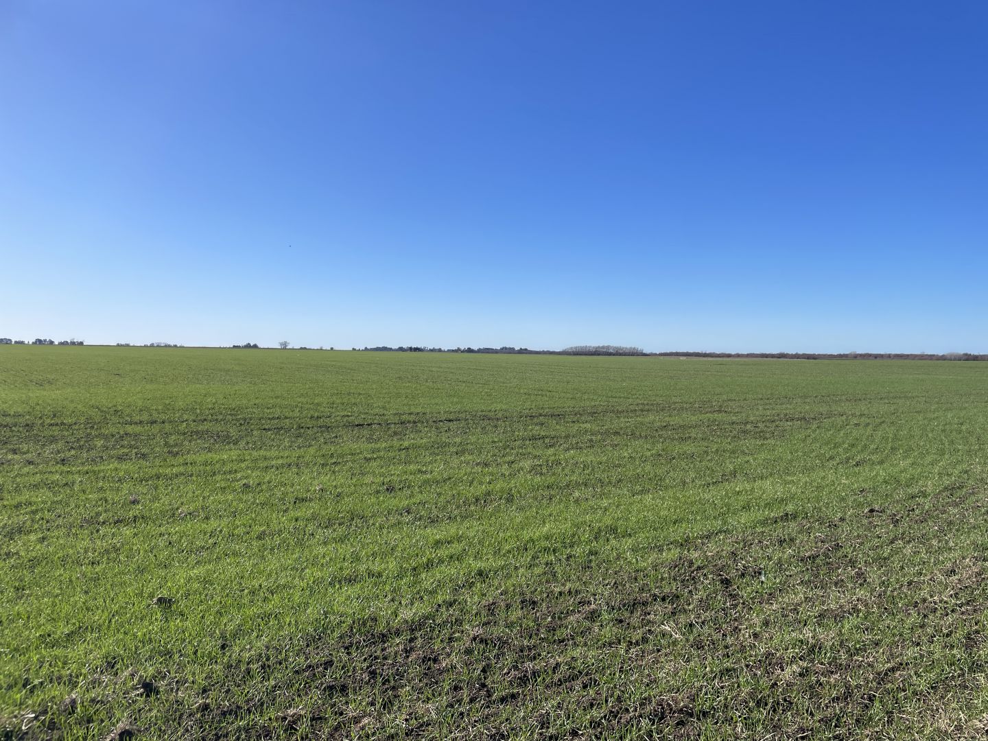 Campo EN VENTA