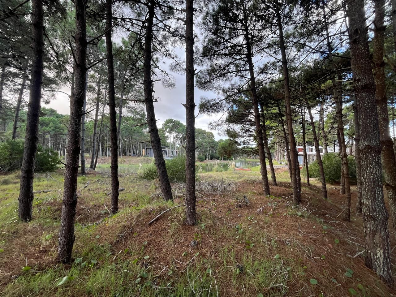 Lote EN VENTA