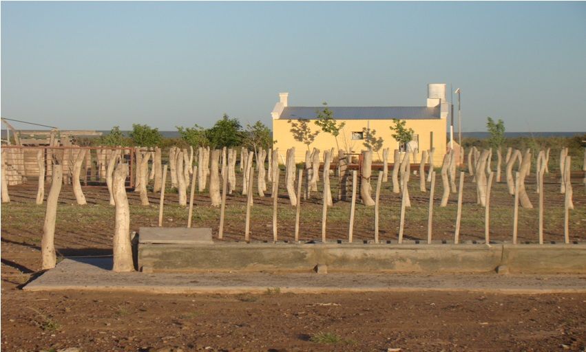Campo EN VENTA
