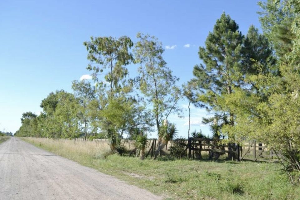 Campo EN VENTA