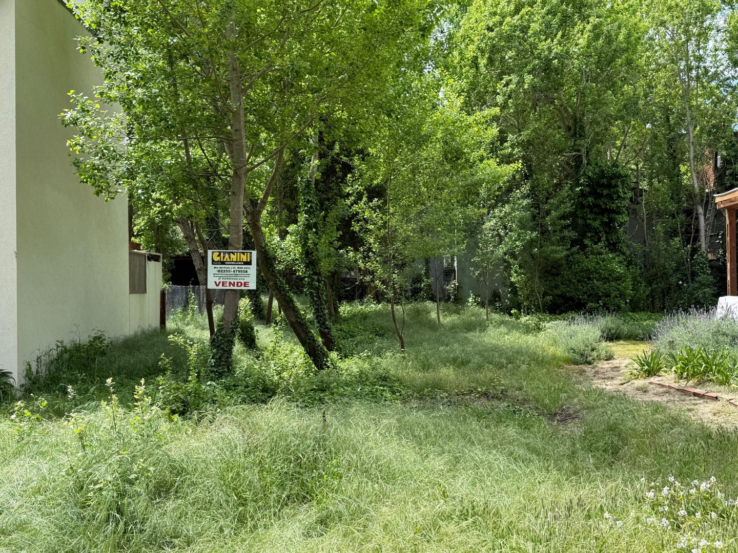 Lote EN VENTA