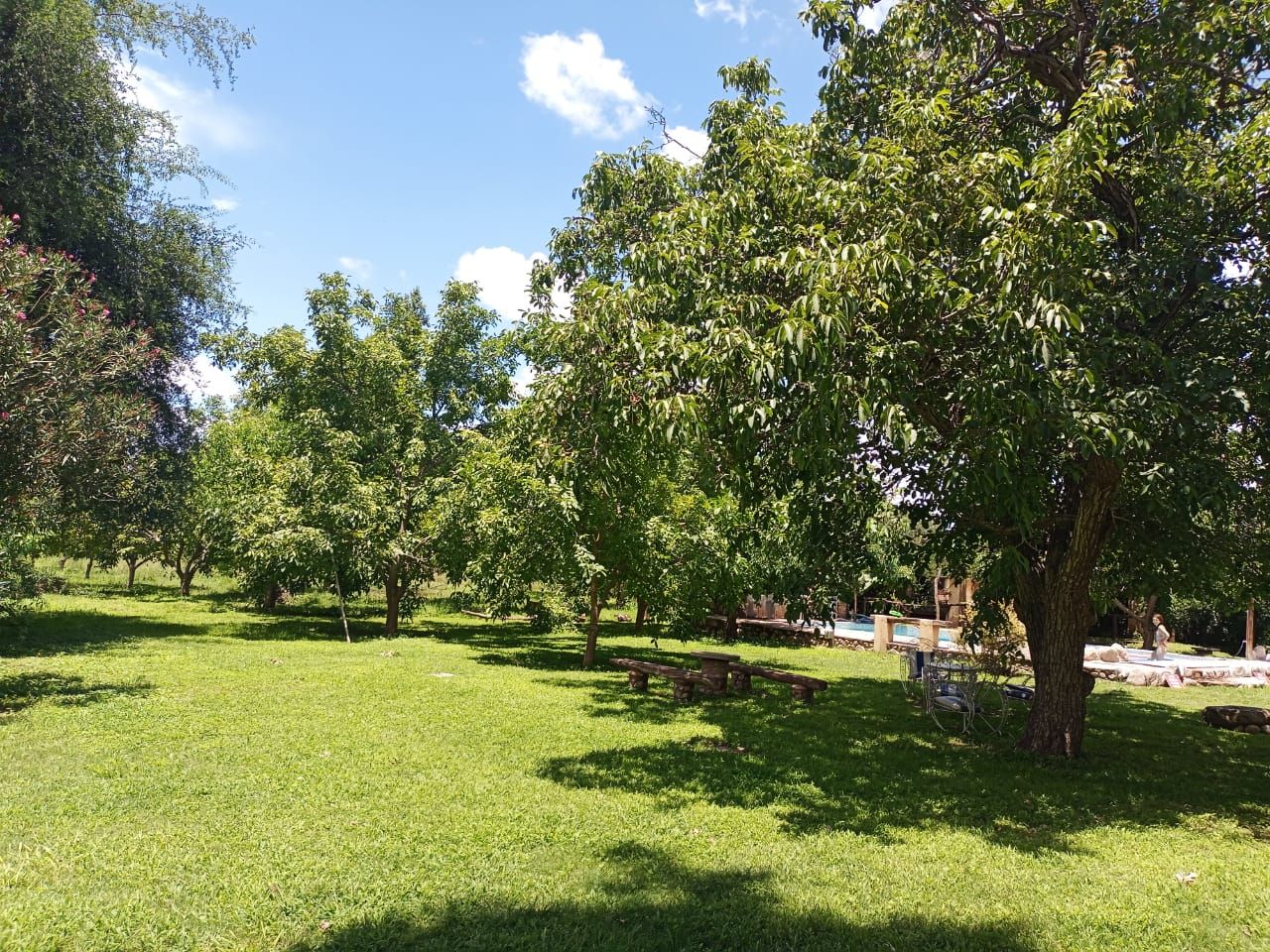 Quinta EN VENTA