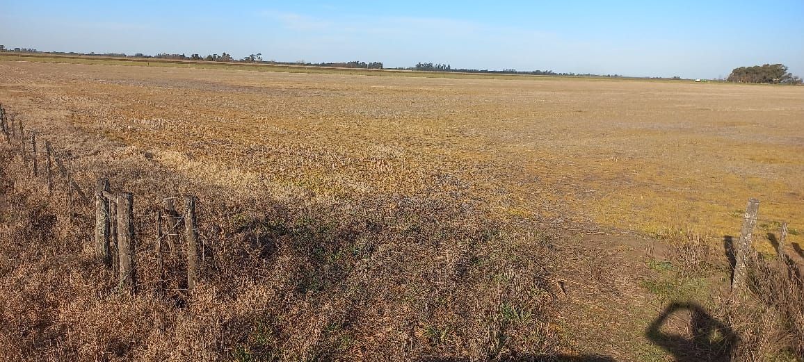 Campo EN VENTA
