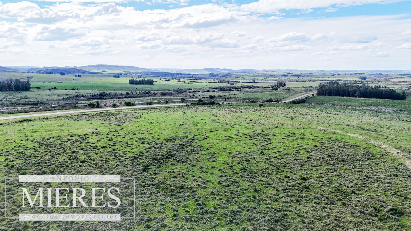 Campo EN VENTA