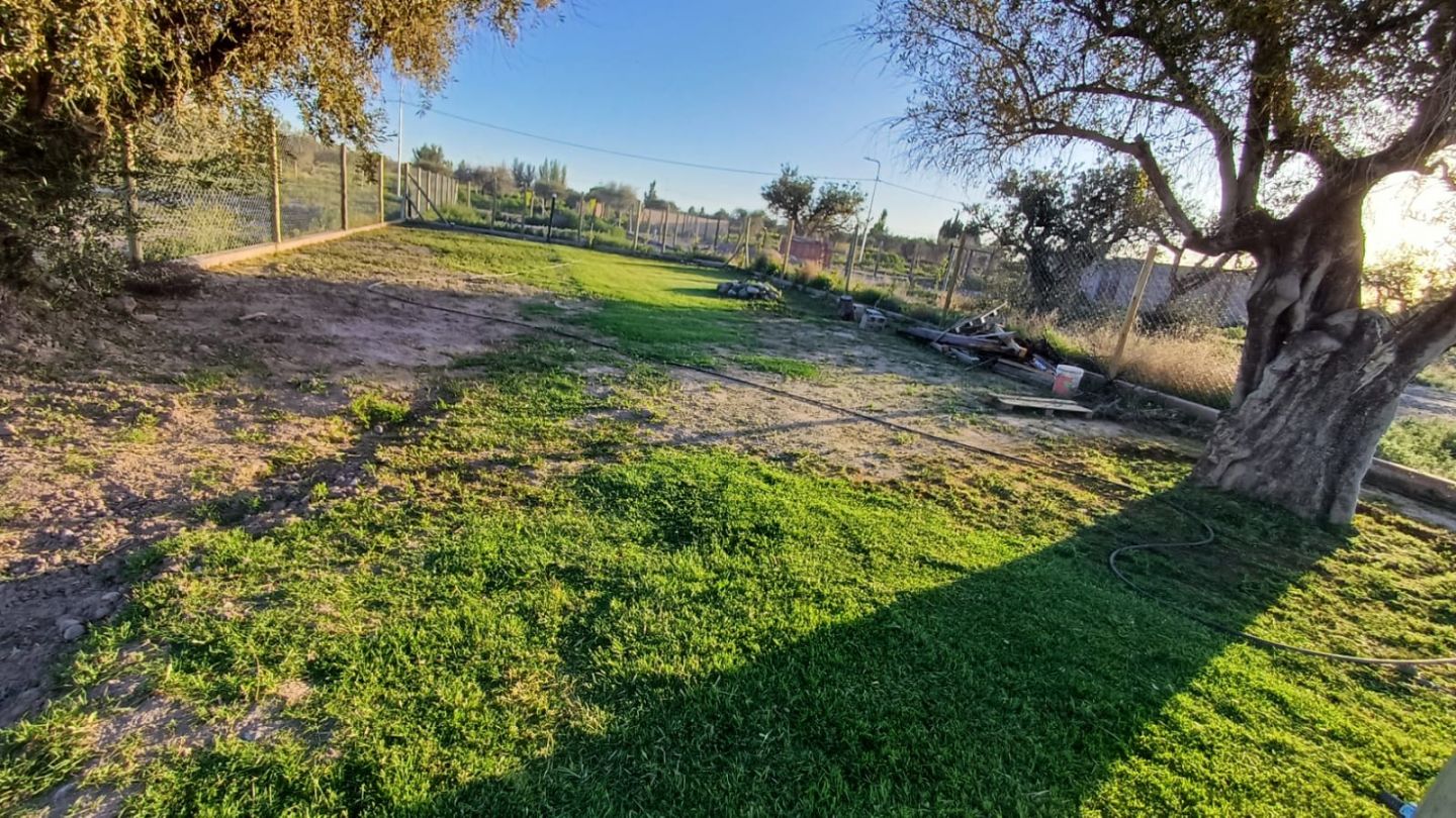 Lote en Venta en Lujan de Cuyo, Mendoza
