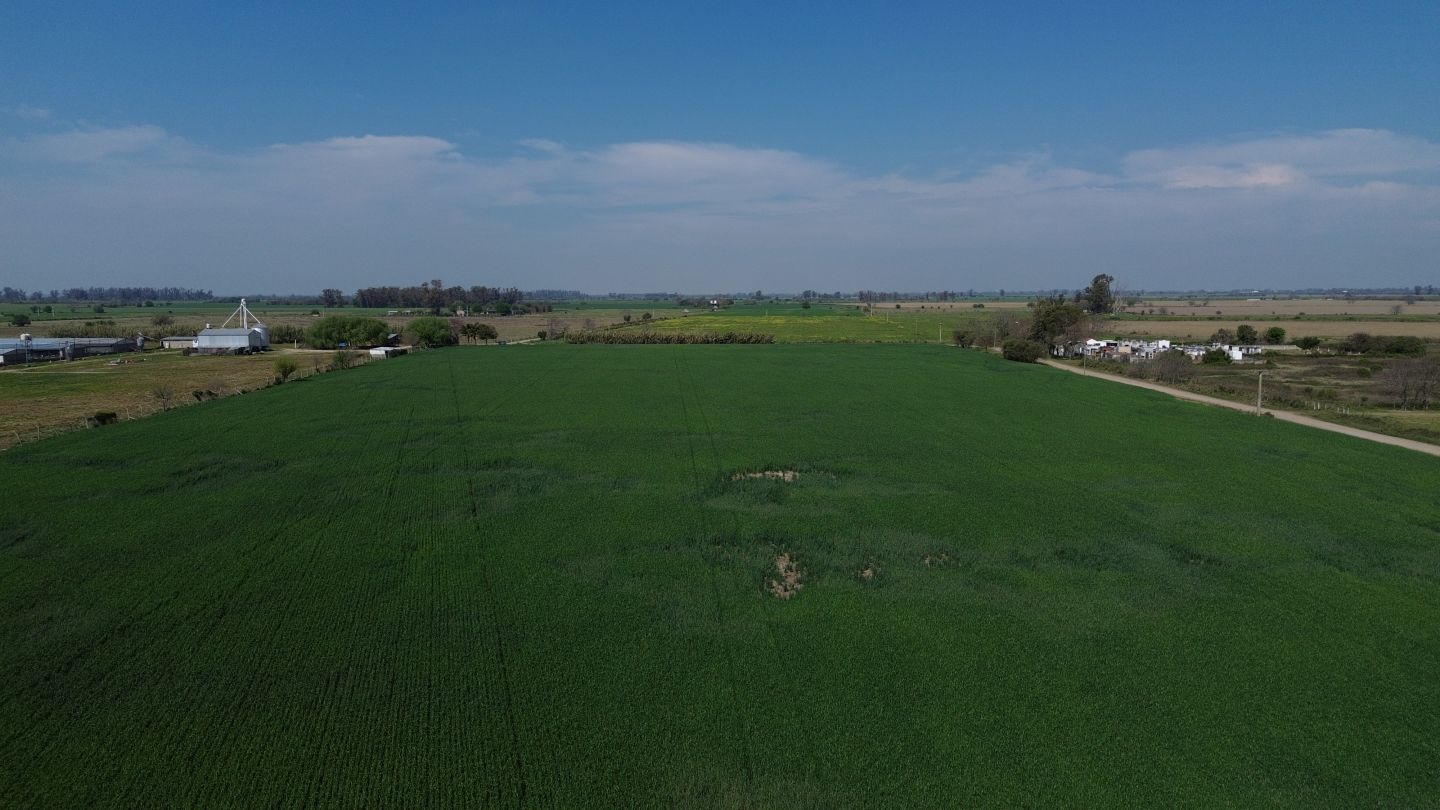 Campo en venta 