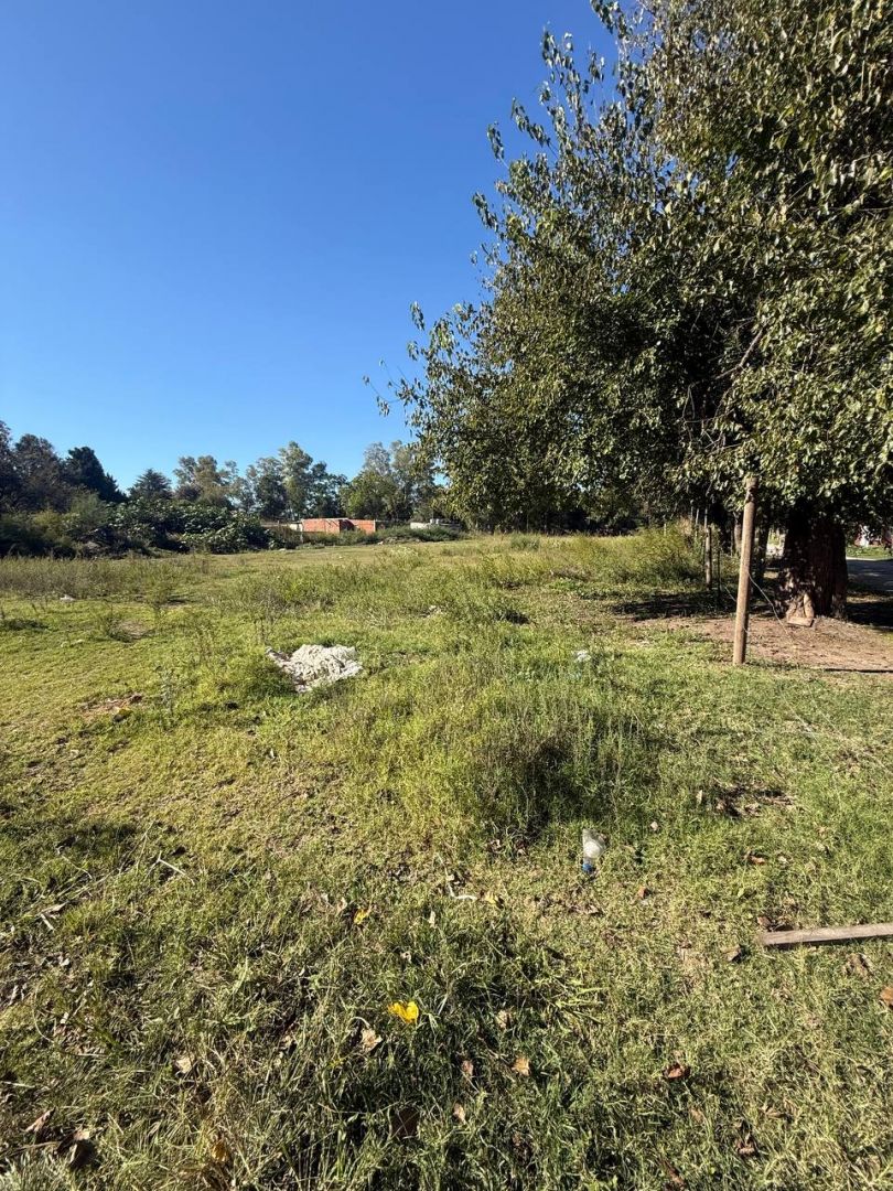 Lote EN VENTA