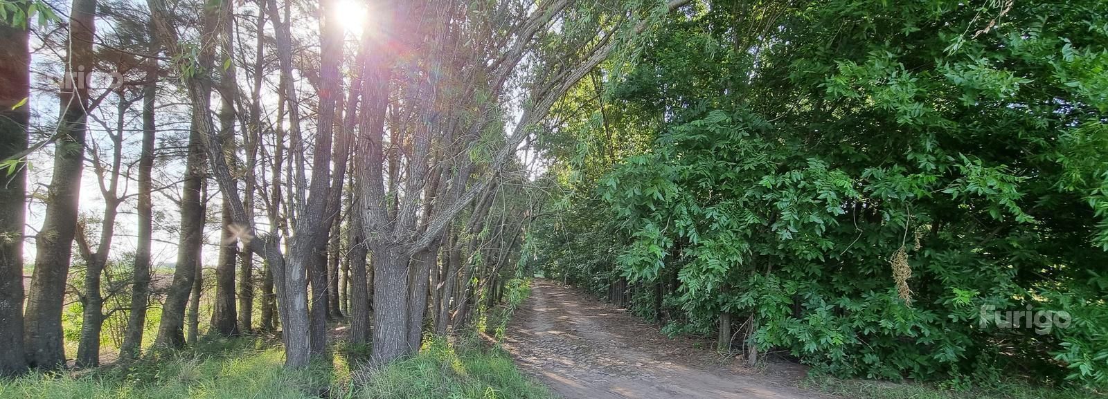 Lote en Venta en Roldán, Santa Fe