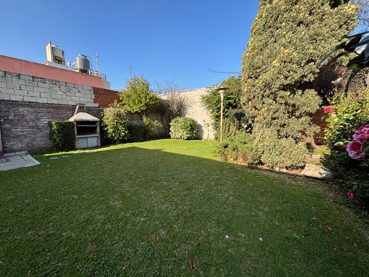 Imagen 2