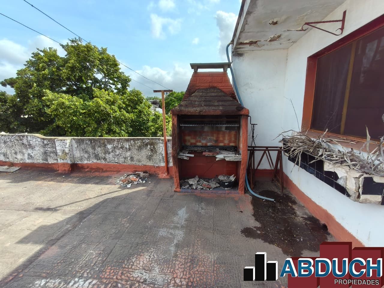 Imagen 24