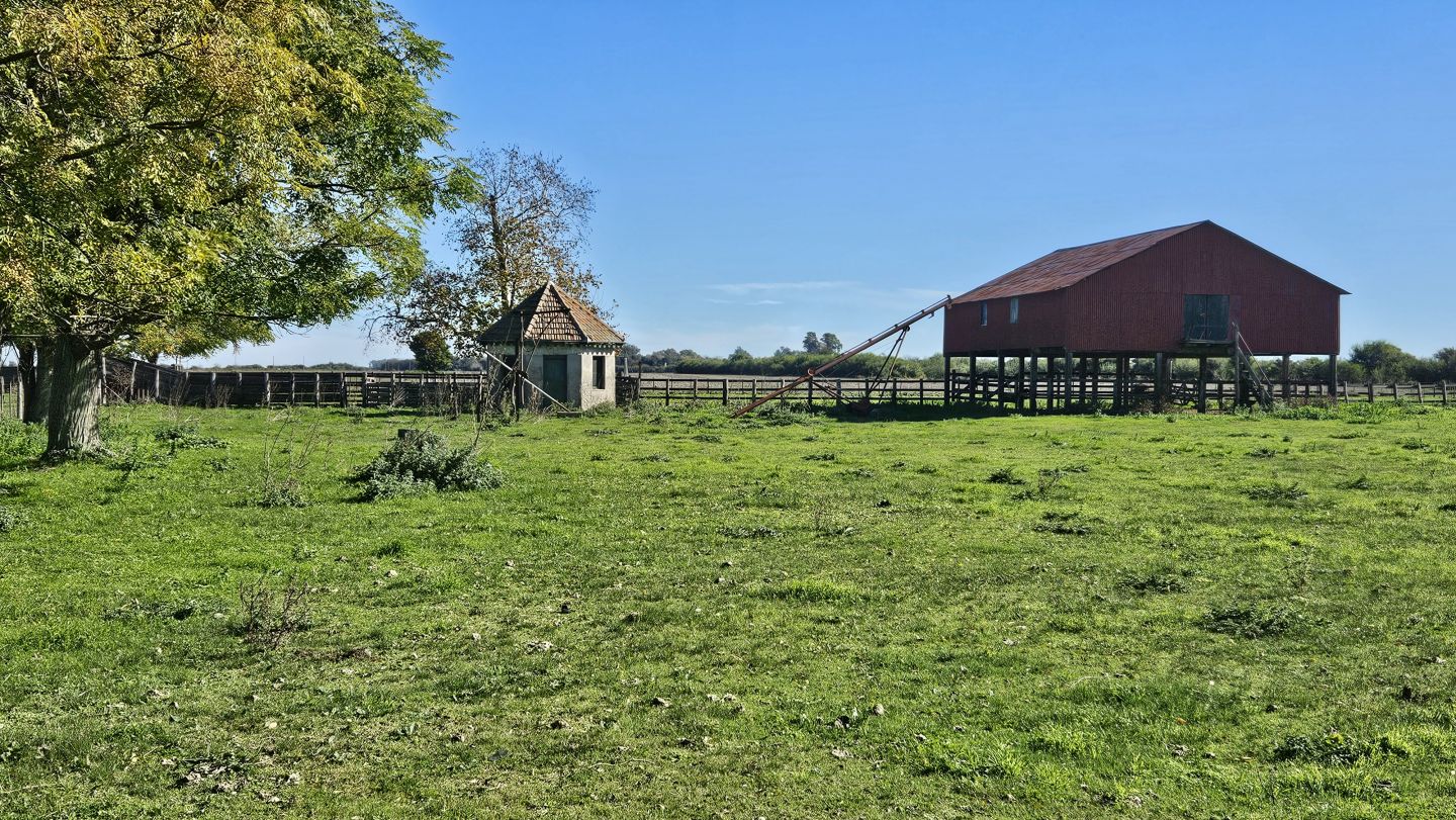 Campo EN VENTA