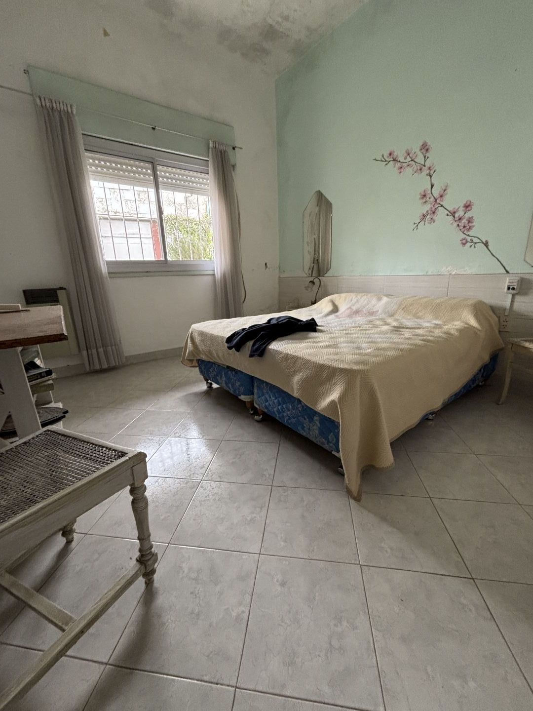 Imagen 27