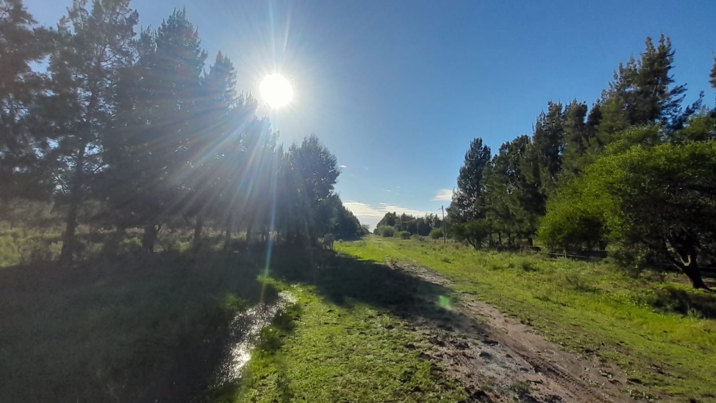 Lote en Venta en Punta Indio, Buenos Aires Interior