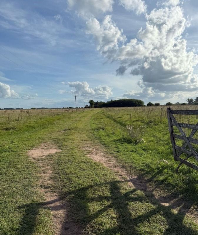 Campo EN VENTA
