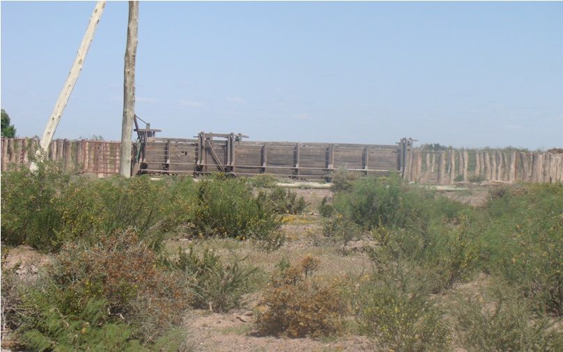 Campo EN VENTA