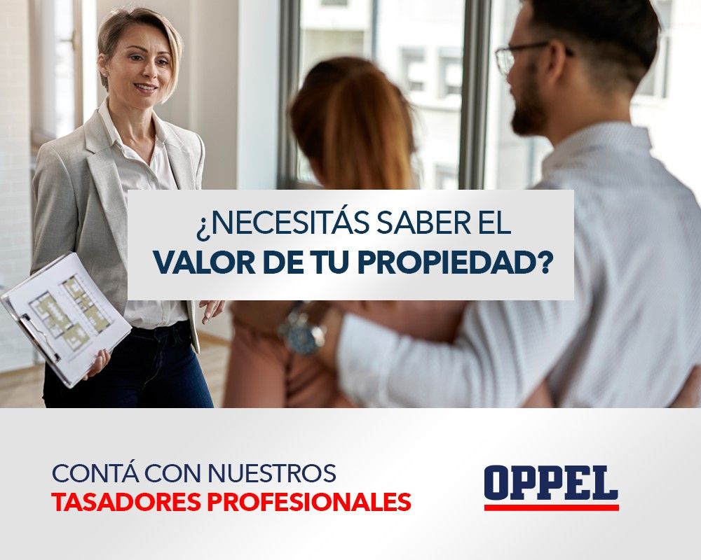 Imagen 21