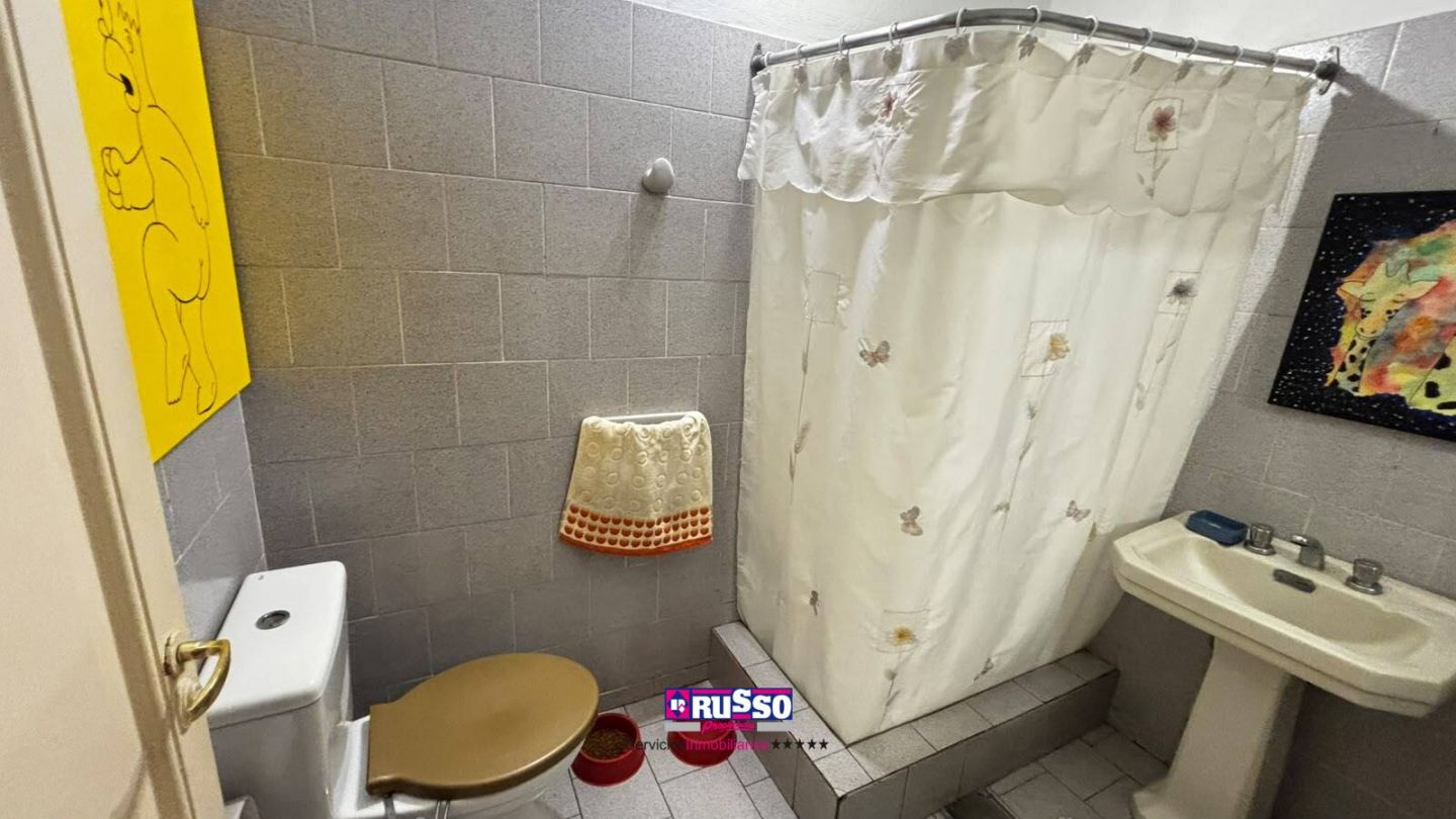 Imagen 10