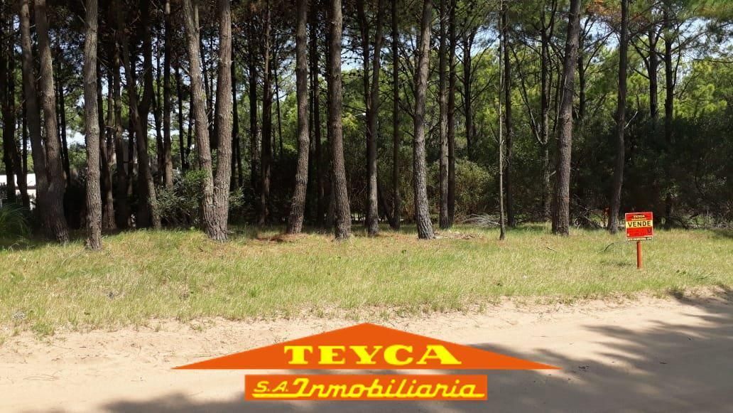 Lote en venta Norte 0 ambientes