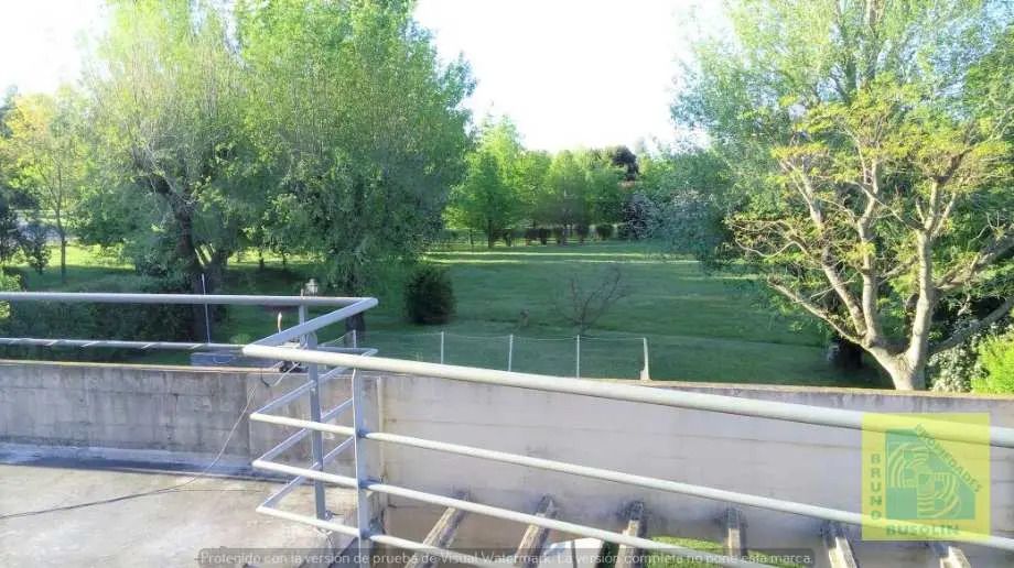 Imagen 12