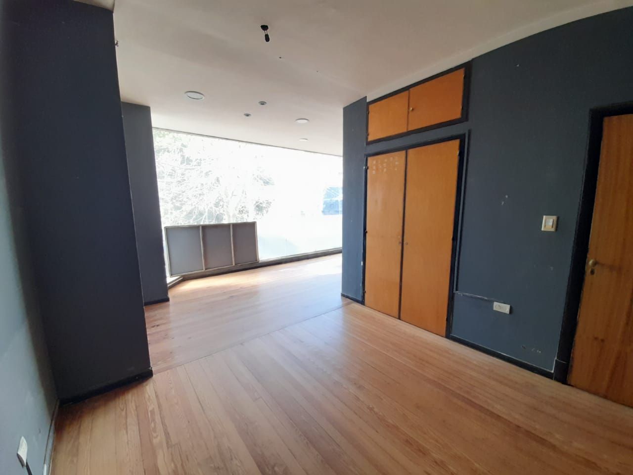 SIN FOTO