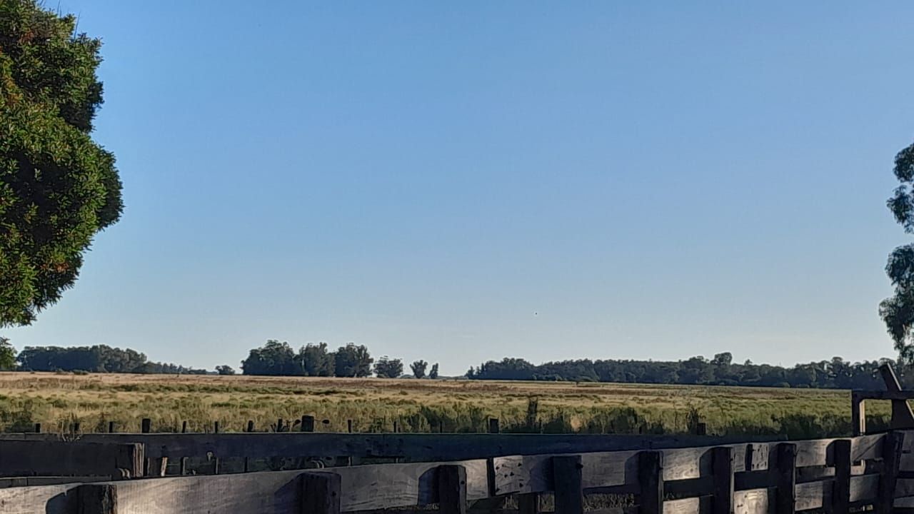 Campo EN VENTA
