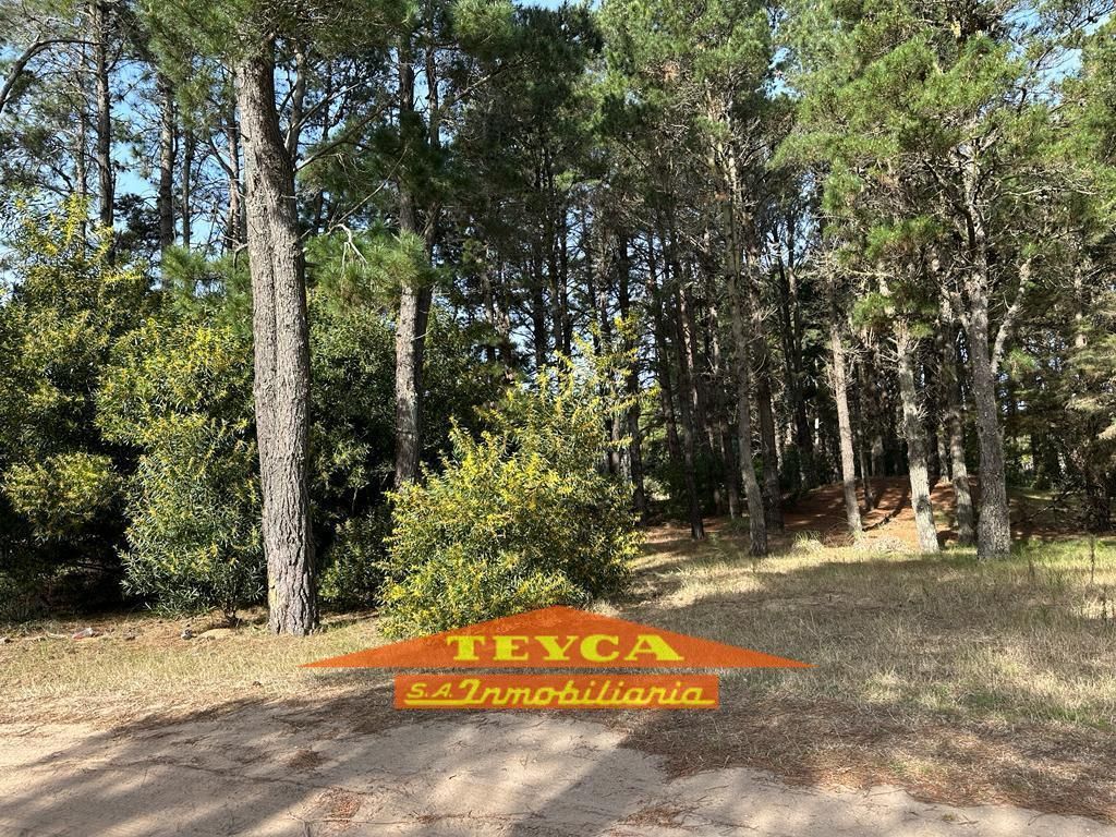 Lote en venta Golf Nuevo 0 ambientes