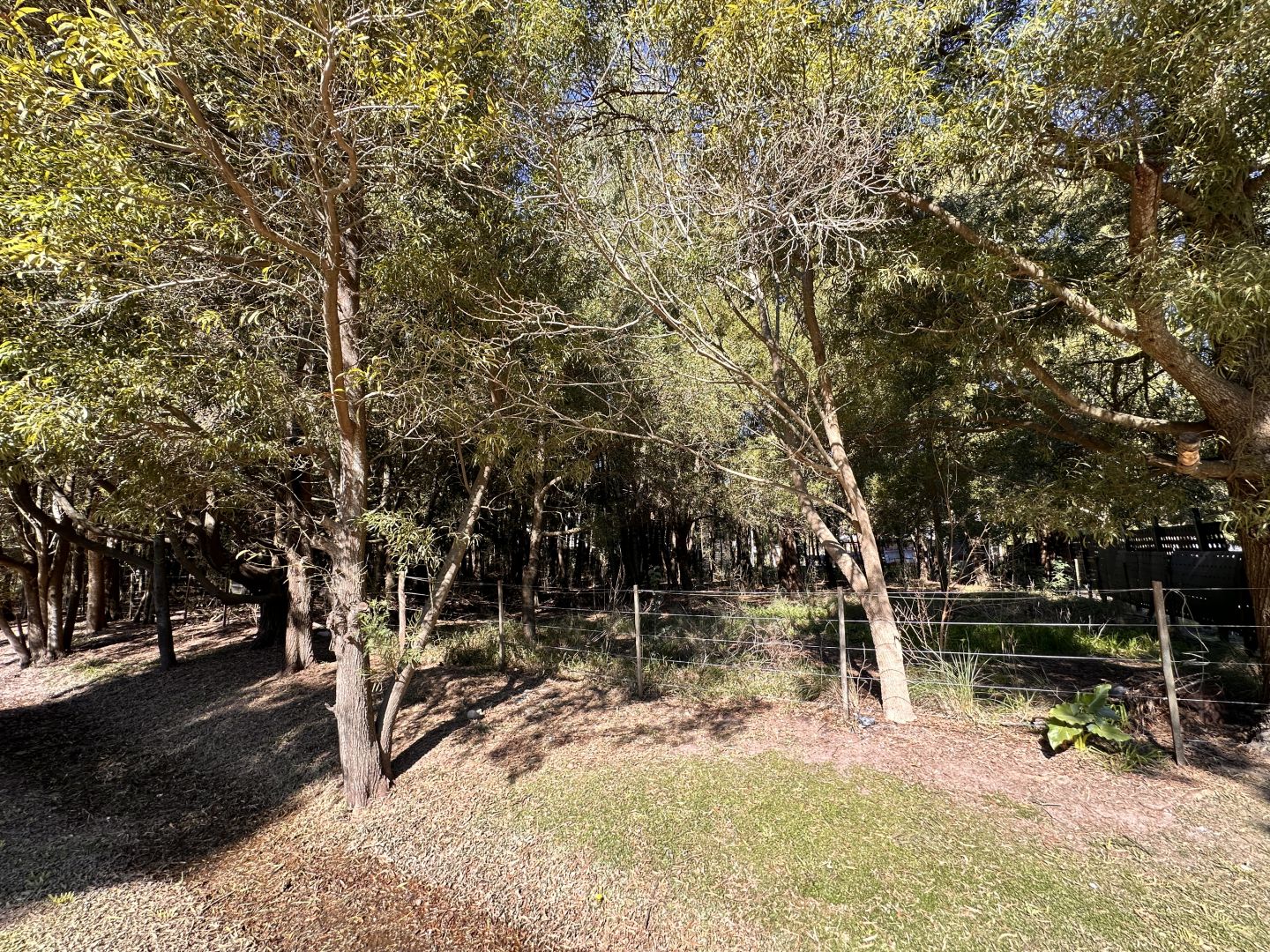Lote EN VENTA