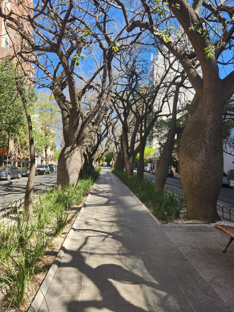 Departamento en Alquiler en Cordoba, Cordoba