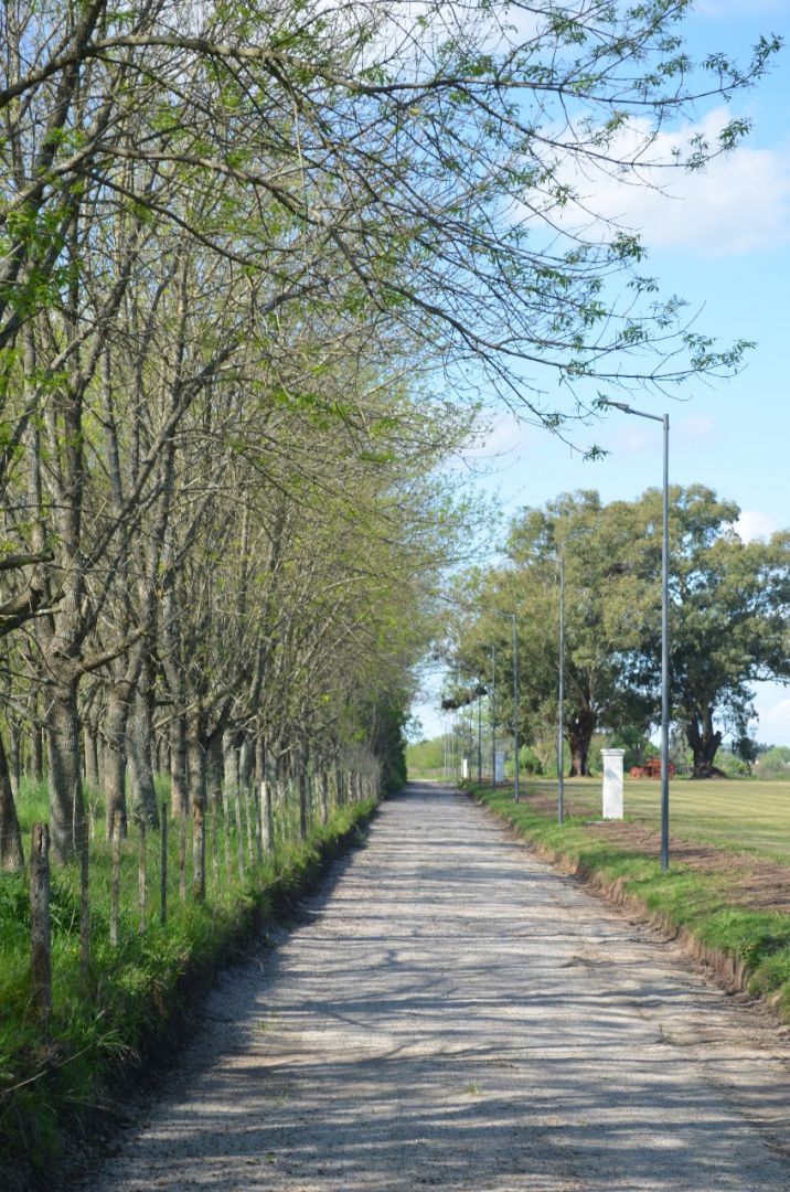 Lote EN VENTA