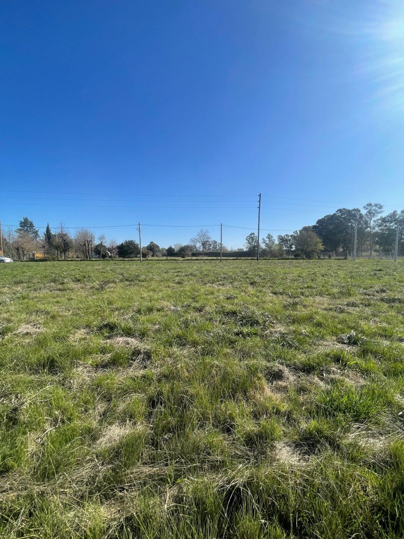 Lote EN VENTA