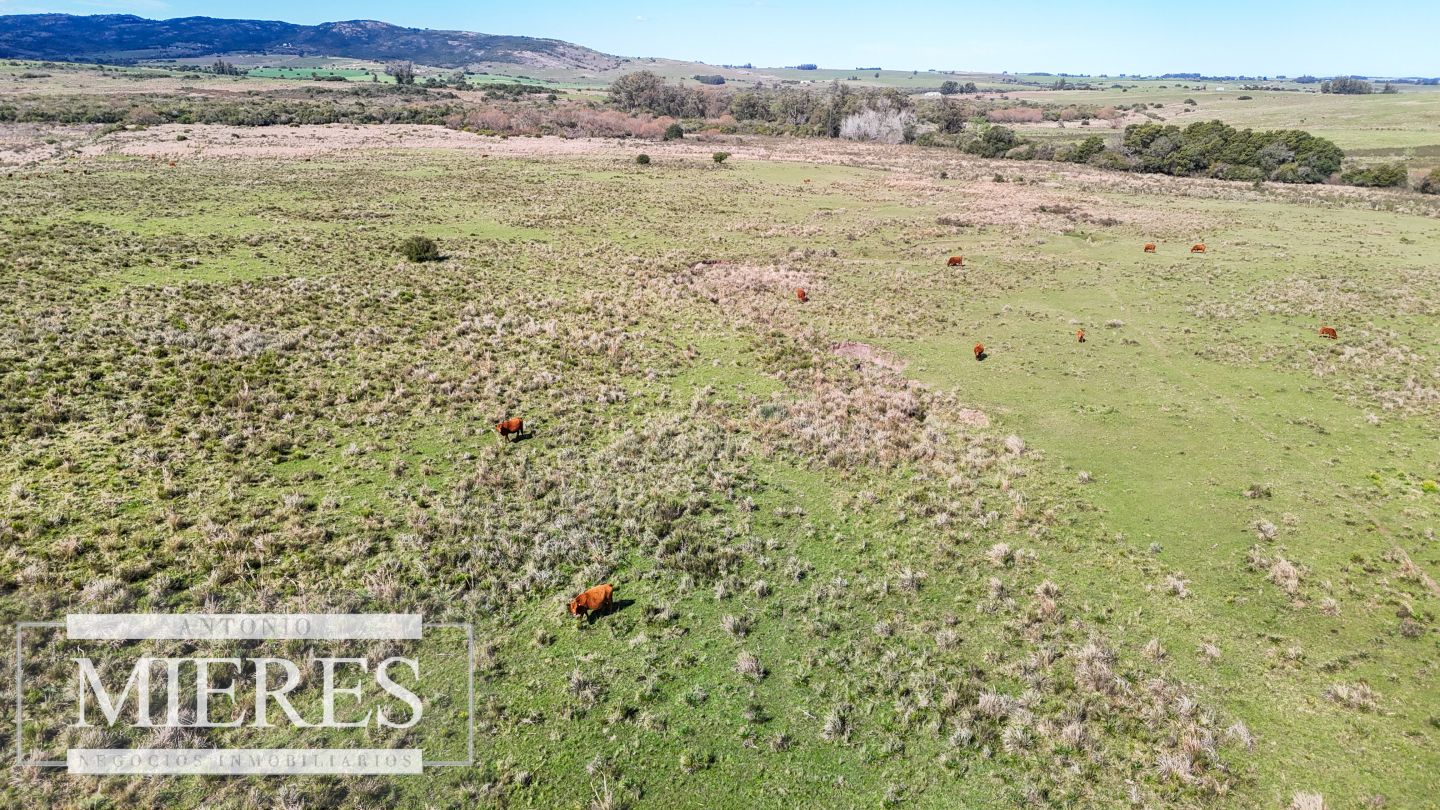 Campo EN VENTA