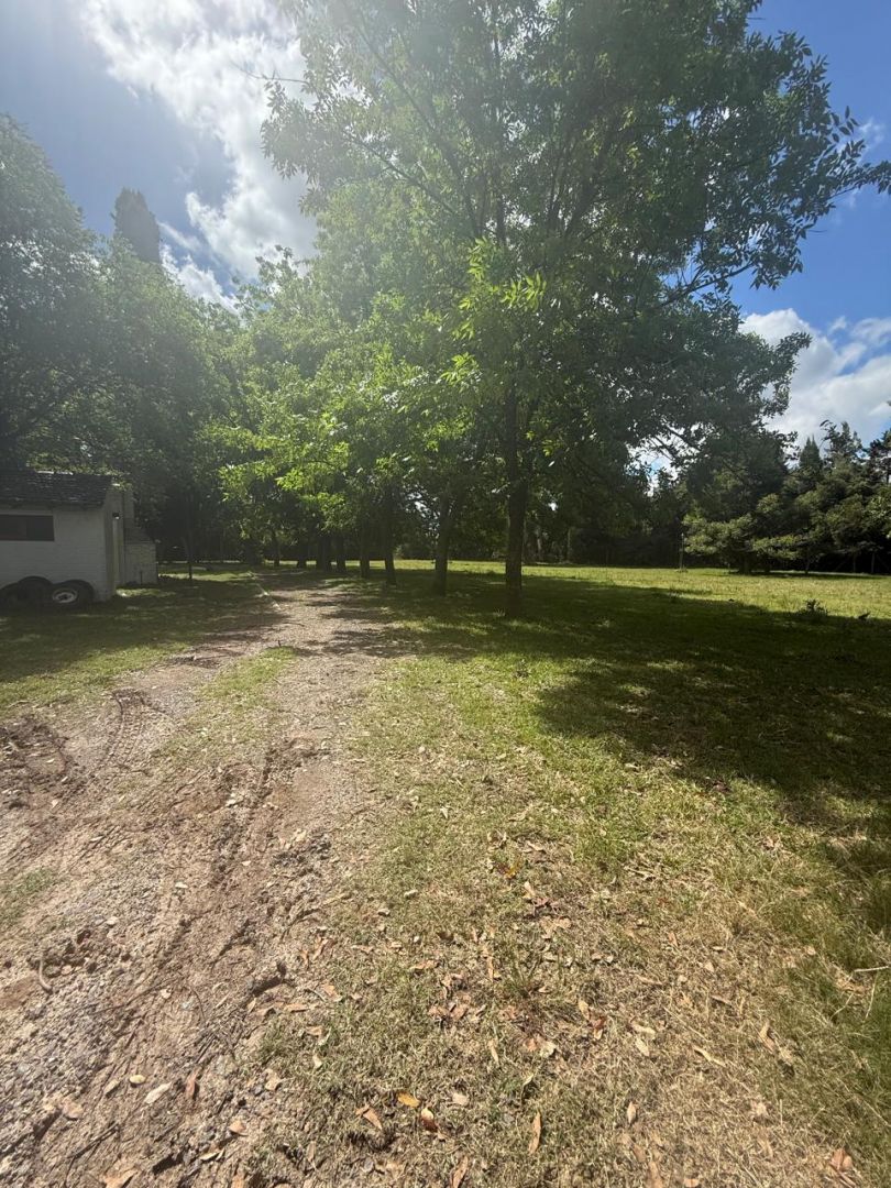 VENTA DE CAMPO EN Brandsen - Gómez de la Vega - 46