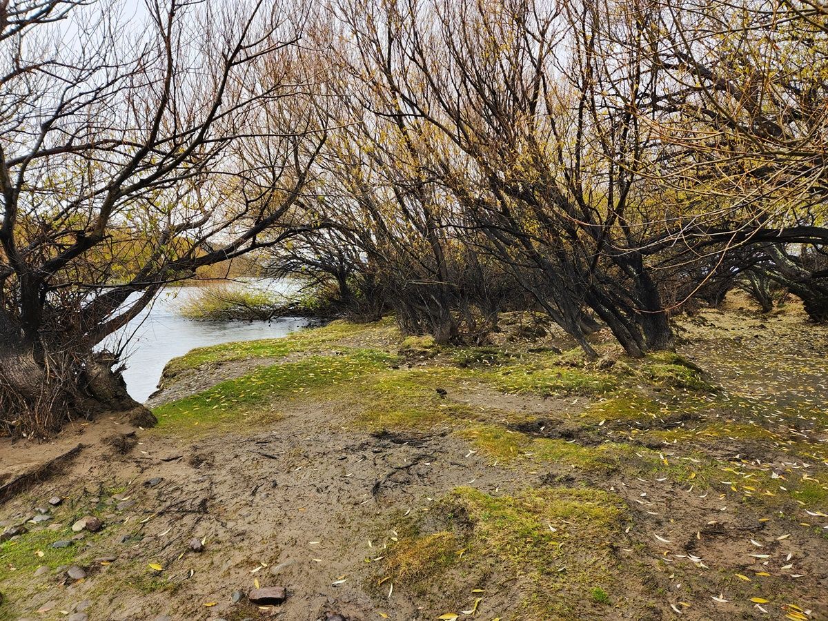Campo EN VENTA