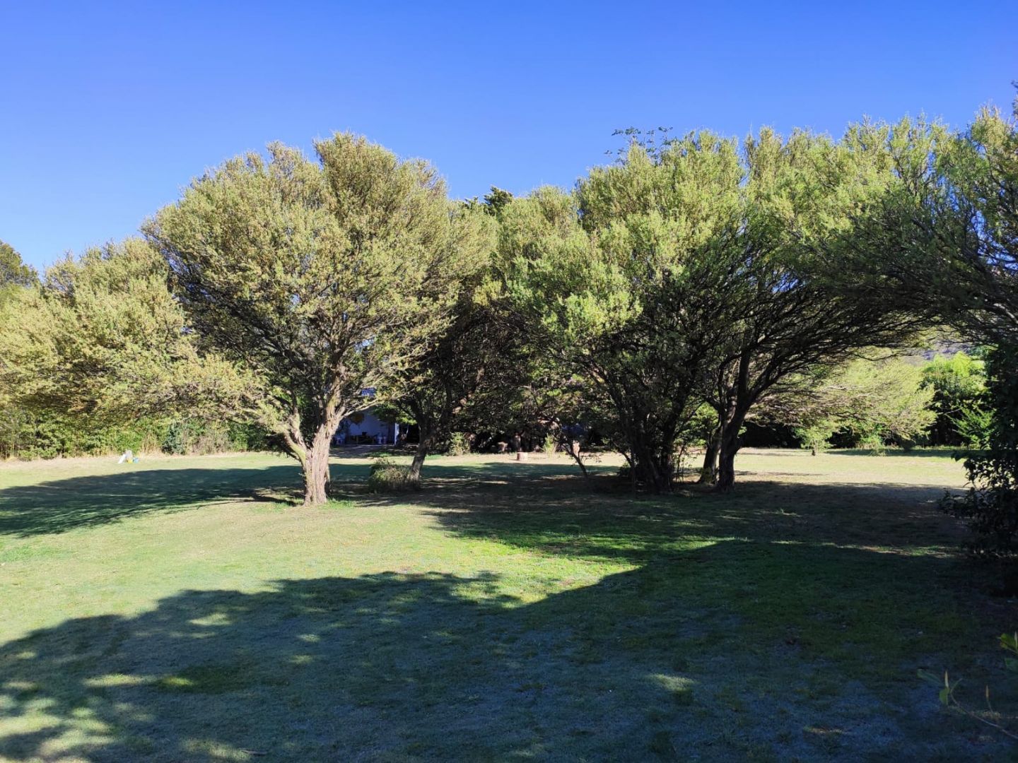 Lote EN VENTA