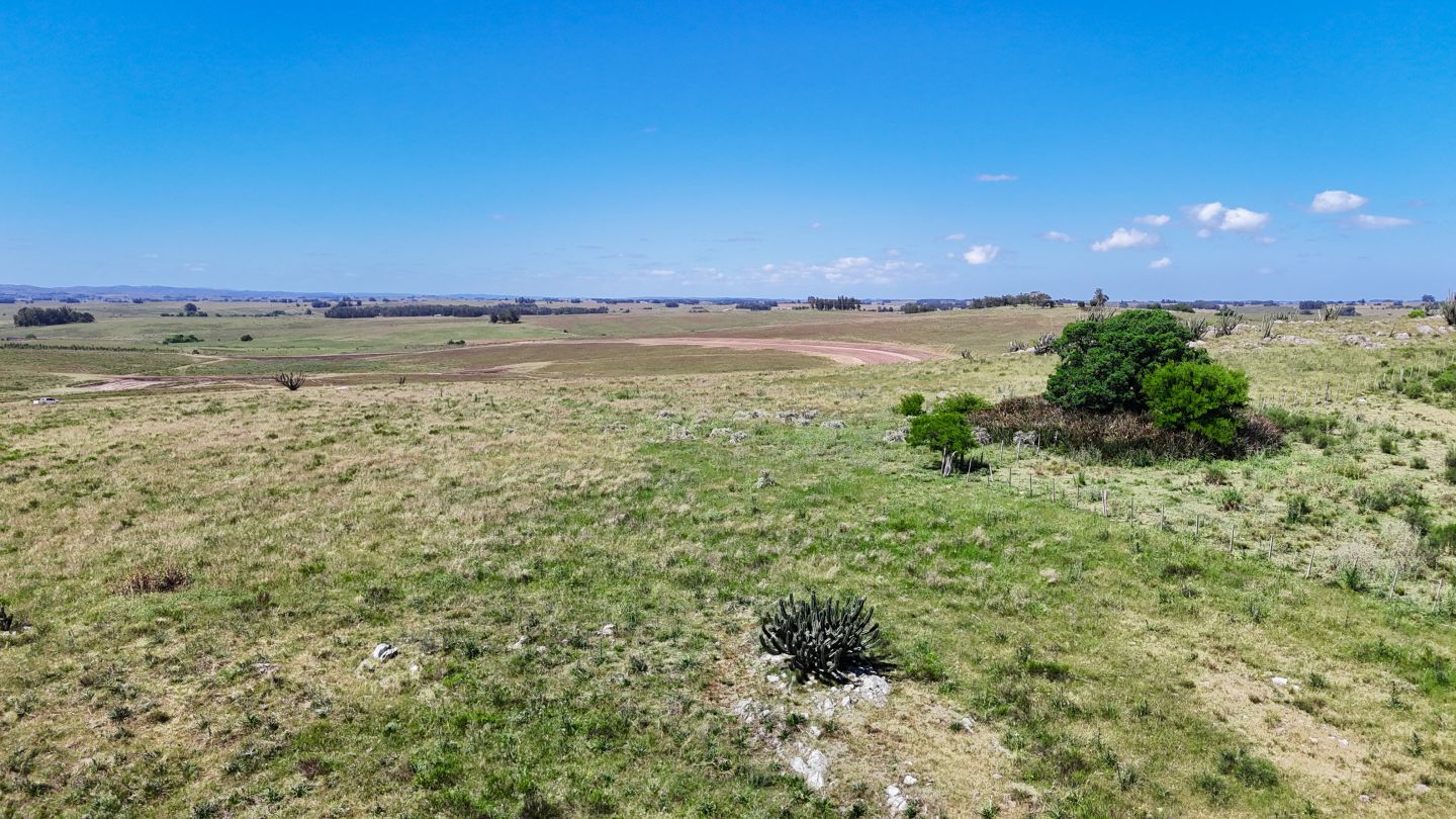 Quinta EN VENTA