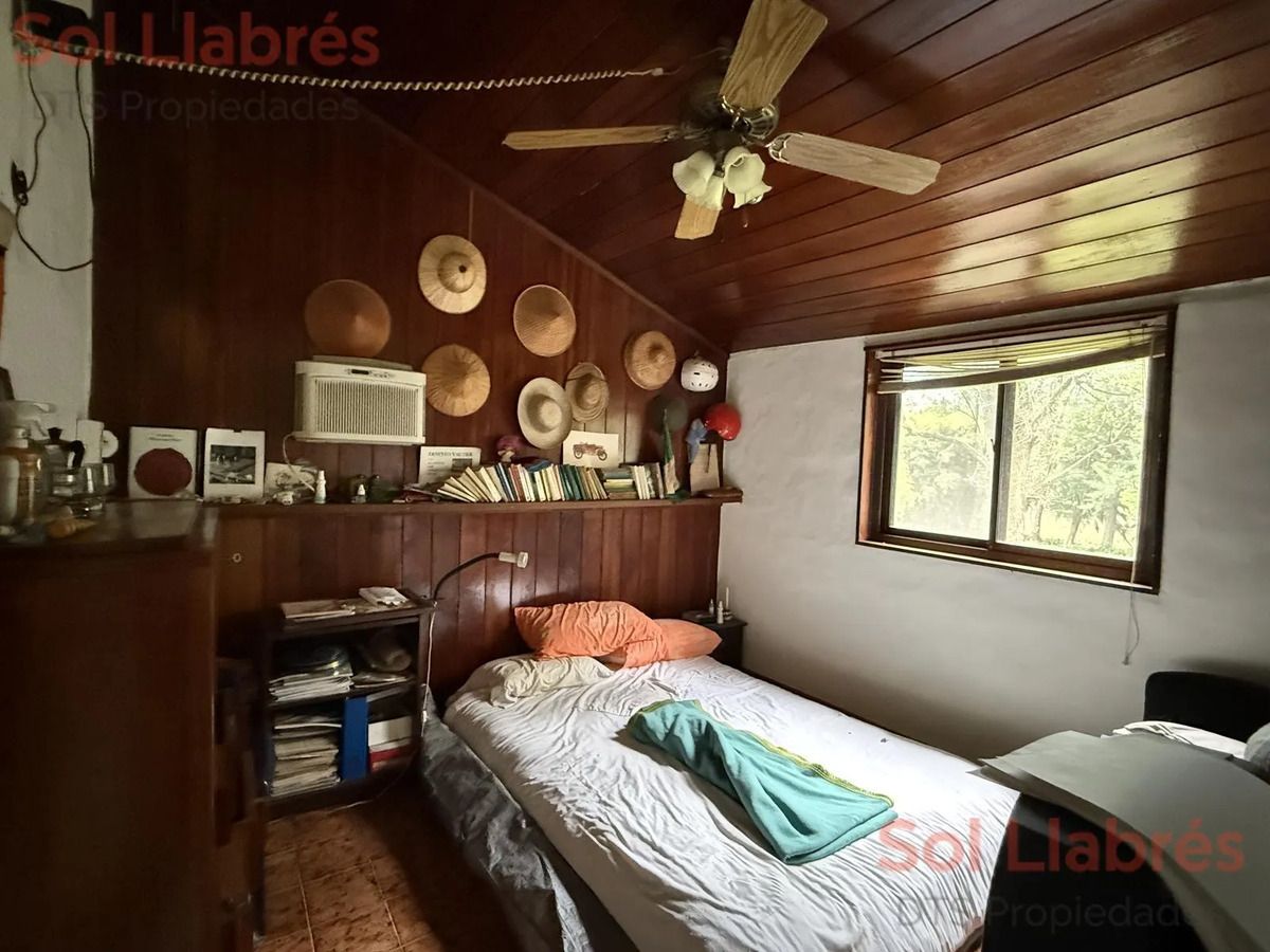 Imagen 18