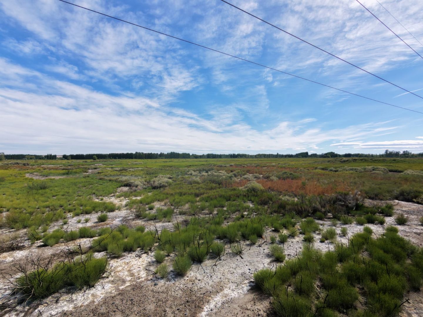 Campo EN VENTA
