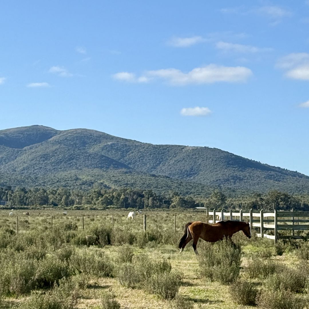 local en alquiler de  en olivos, vicente lópez