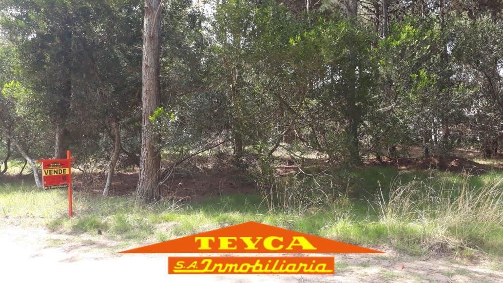 Lote en venta Norte 0 ambientes