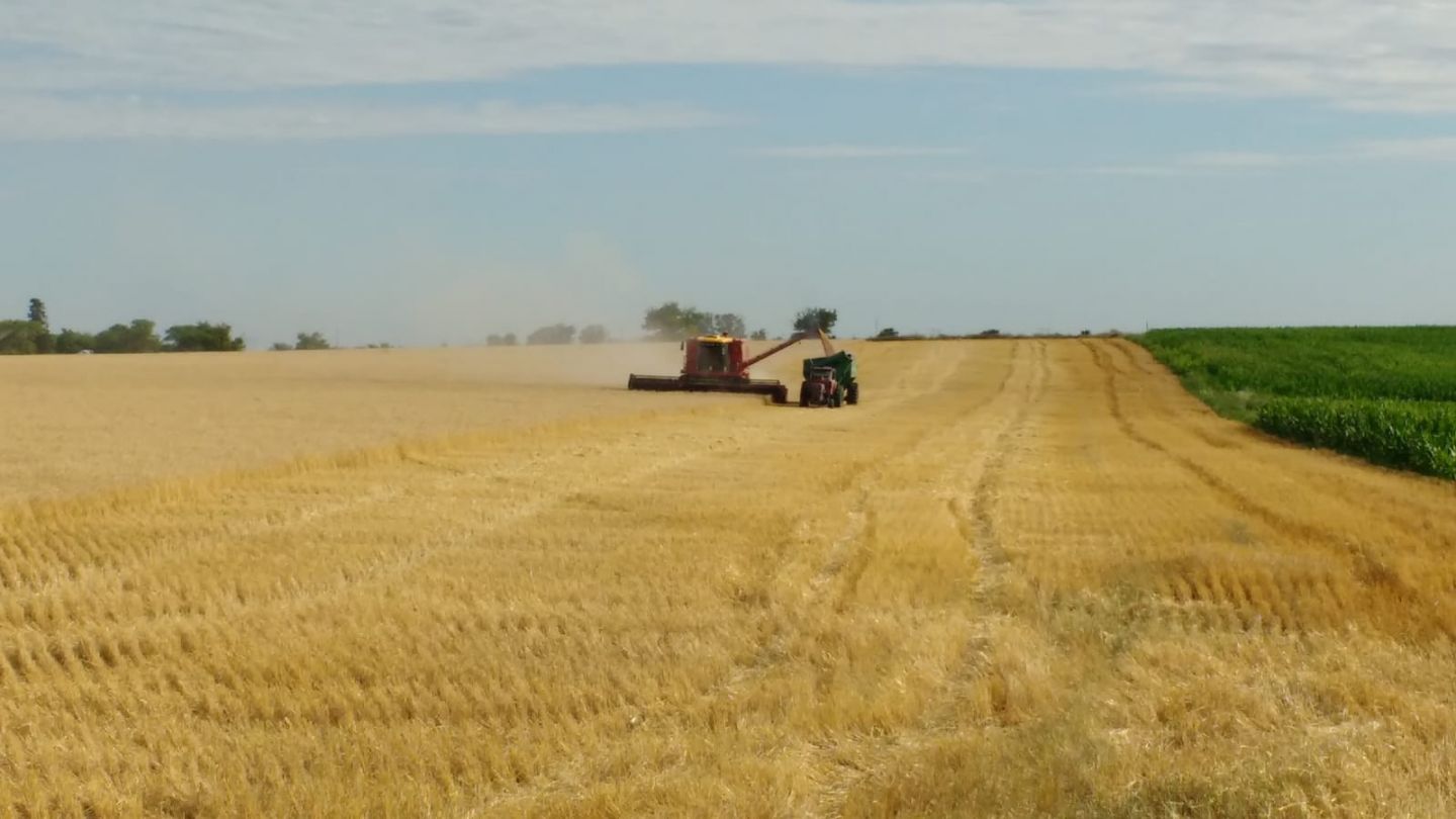 Campo EN ALQUILER